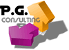 PG Consulting